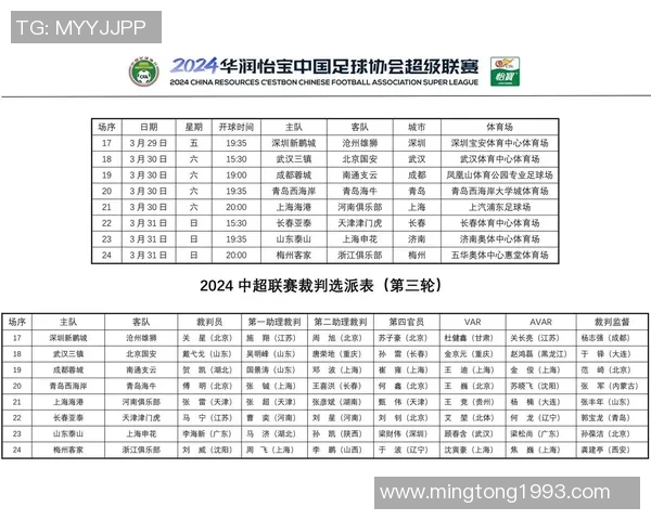 中国足球裁判等级体系解析与发展现状探讨及未来展望